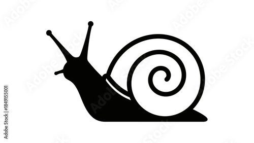 Minimalist Black and White Illustration of a Snail for Artistic and Educational Use