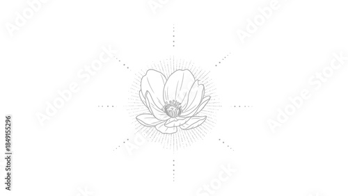 Minimalist Line Drawing of a Delicate Blossom with Radiant Halos for Artistic Floral Illustration
