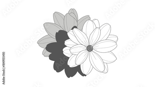 Elegant monochrome floral illustration with layered petals and shadow effects for design projects