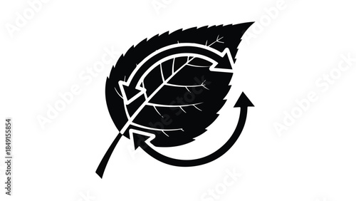 Eco friendly recycling symbol with leaf and arrows on white background, representing sustainable environment and nature conservation concept