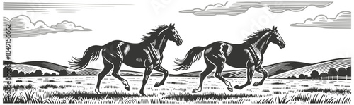 Two majestic horses galloping freely across vast grassy meadow in serene rural countryside black and white illustration.