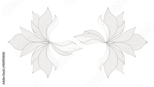Symmetrical floral line art emphasizing organic leaf forms and delicate contours suitable for