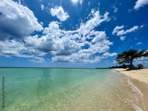 Fototapeta Naklejka Na Ścianę i Meble -  Caribbean beach near Cayo Largo del Sur, Cub. Turquoise water, golden sand and the a tree, blue sky and scattered clouds