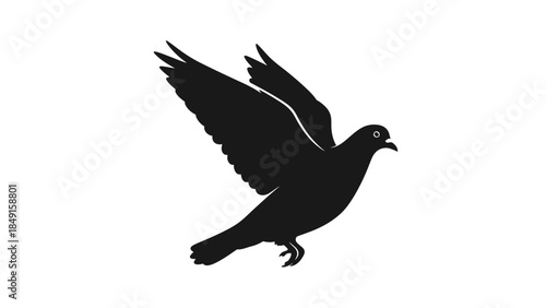 Silhouette of a soaring bird capturing the essence of freedom and wildlife nature