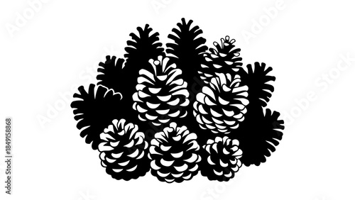 Silhouette of multiple pinecones and pine branches arranged in a natural cluster on a white