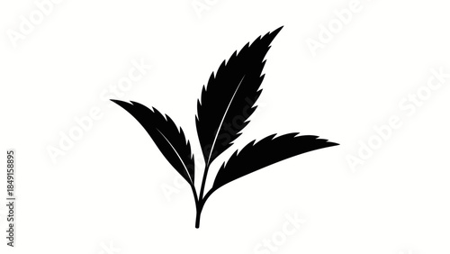 Minimalist black silhouette depiction of a cluster of elongated leaves with serrated edges and