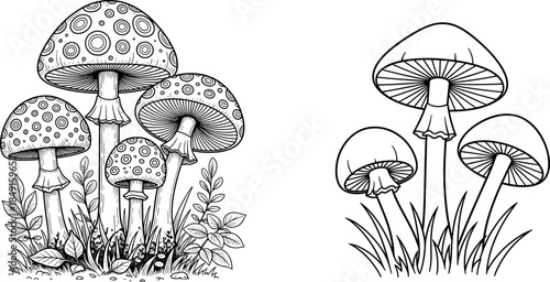 Detailed mushroom and fungi coloring page set, botanical line art illustration, wild forest nature, zen adult coloring activity, vector.