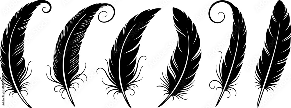 Obraz premium Black Feather Silhouette Set – Elegant Bird Feather Collection