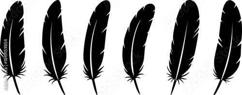 Black Feather Silhouette Set – Elegant Bird Feather Collection