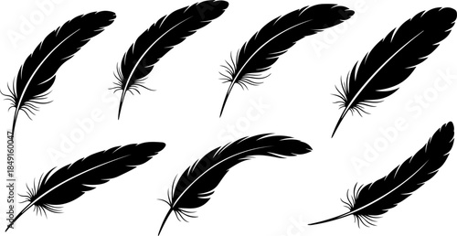 Black Feather Silhouette Set – Elegant Bird Feather Collection