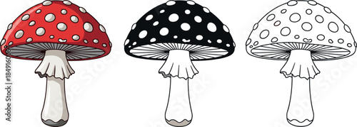 Red and white spotted amanita muscaria fly agaric mushroom set with colorful black and line art outline versions,