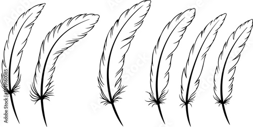 Black Feather Silhouette Set – Elegant Bird Feather Collection