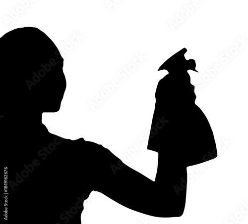 Silhouette of a Person Holding a Spray Bottle