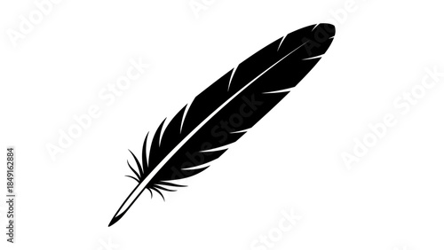 Elegant black and white feather silhouette symbolizing lightness and freedom in minimalistic