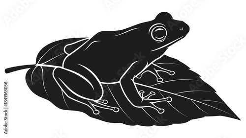 Minimalist Black and White Illustration of a Frog Resting on a Leaf in Artistic Style
