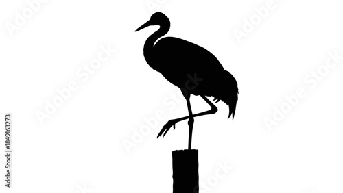 Silhouette of a heron perched on a post with elegant posture and elongated legs and neck against a