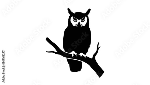 Stylized silhouette of a mysterious owl perched on a branch illustrating nocturnal wildlife and