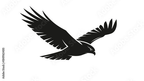 Silhouette of a soaring bird with outstretched wings in dynamic flight captured in striking black