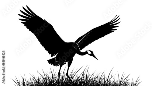 Silhouette of a Heron Landing in Tall Grass with Outstretched Wings at Dusk
