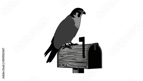 Illustration of a bird perched on a wooden mailbox representing nature and communication