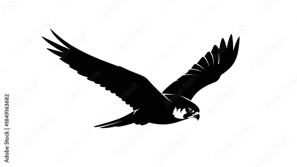 Fototapeta premium Silhouette of a soaring bird with outstretched wings in flight emphasizing freedom and grace in