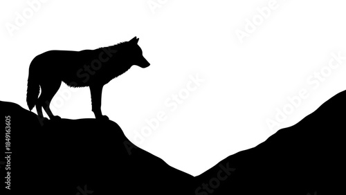 Silhouette of a wolf standing on a rocky terrain against a stark white background capturing