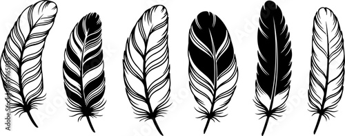 Black Feather Silhouette Set – Elegant Bird Feather Collection