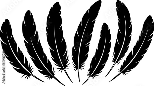 Black Feather Silhouette Set – Elegant Bird Feather Collection