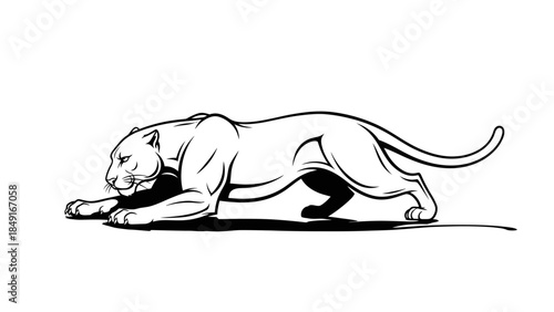 Minimalist Black and White Illustration of a Stretching Big Cat in a Lying Pose