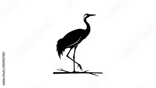 Elegant silhouette of a heron standing on a branch capturing nature's serenity
