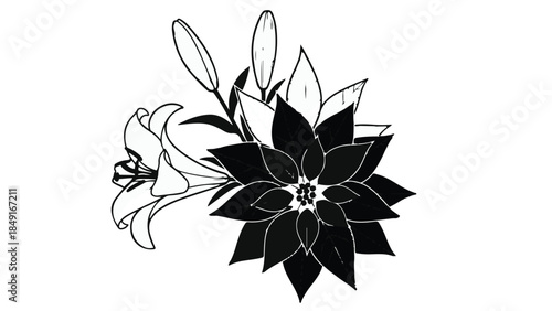 Elegant black and white floral illustration of a flower with leaves on white background, simple line art for design and decoration