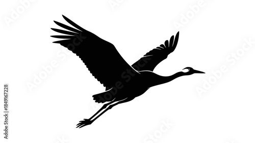 Silhouette of a graceful heron in flight with extended wings over a plain white background