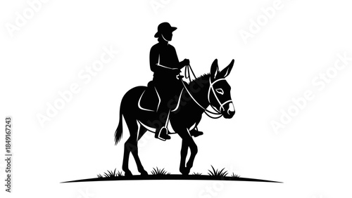 Silhouette of a person riding a donkey in a rural outdoor setting with grass and open sky