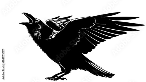 Dynamic black and white illustration of a soaring bird with detailed feathers and open beak