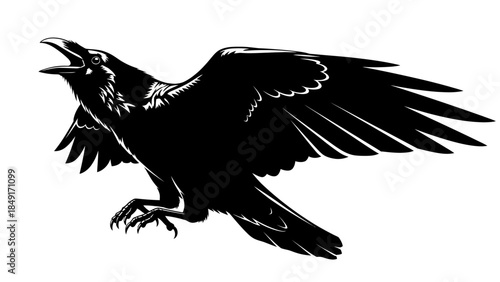 Detailed black and white illustration of a raven in mid-flight with open beak and extended wings