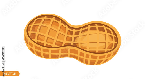 Vector illustration of a delicious roasted peanut in its shell, showcasing its healthy snack appeal Vector