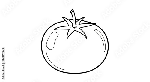 Simple black and white outline drawing of a fresh tomato ready for coloring Vector