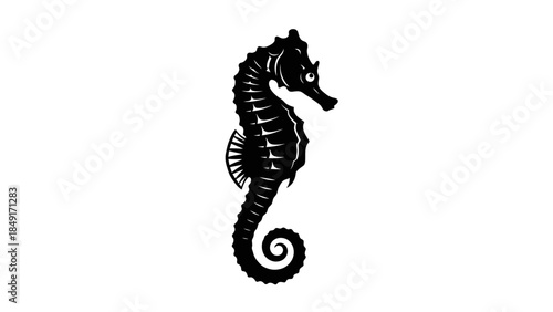 Stylized black silhouette of a seahorse with intricate details on a white background illustration