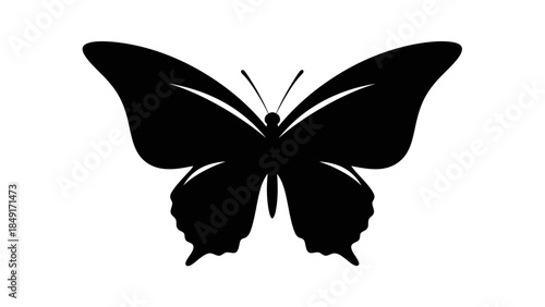 Silhouetted butterfly icon representing nature and transformation with elegant design