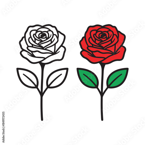 Colorful illustration of red and white roses with green and black leaves