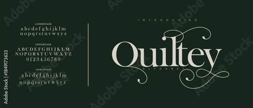 Elegant luxury alphabet font logo. Typography modern classic lettering serif italic fonts decorative wedding vintage retro logos. vector illustration