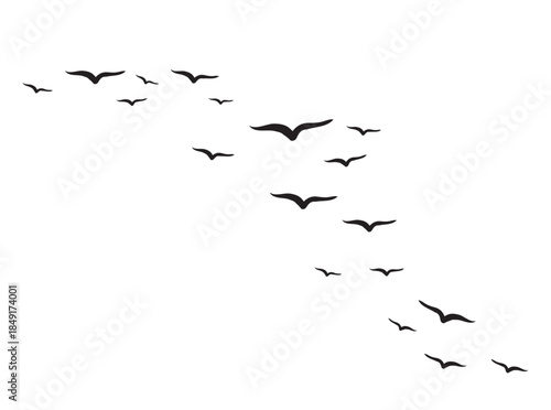 Flying birds silhouettes on a white background. Vector illustration. flock of flying birds isolated 