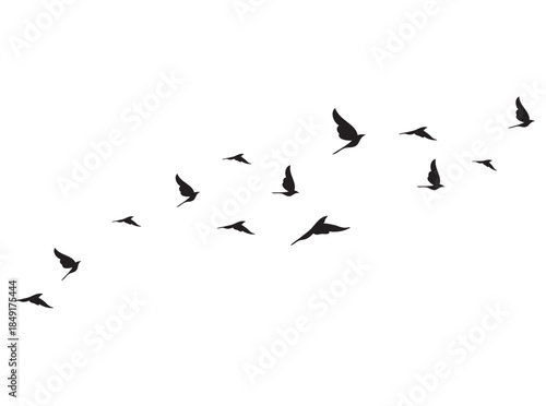 flock of birds, birds in flight, Black vector flying birds flock silhouettes isolated on white background