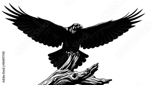 Silhouette of a majestic eagle soaring with outstretched wings above a textured tree branch in