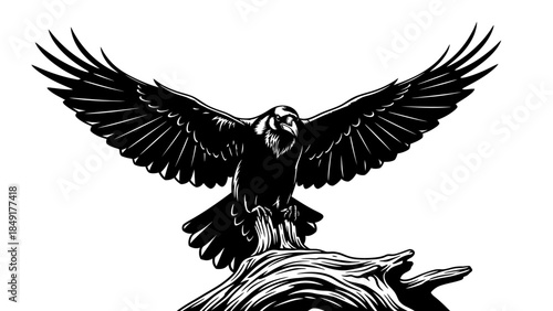 Stylized black and white illustration of an eagle with widespread wings and detailed feathers
