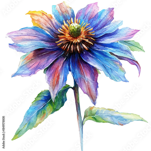 Bee Balm Flower, delicate painting watercolor vector with vivid brush accents, isolated on a white background.