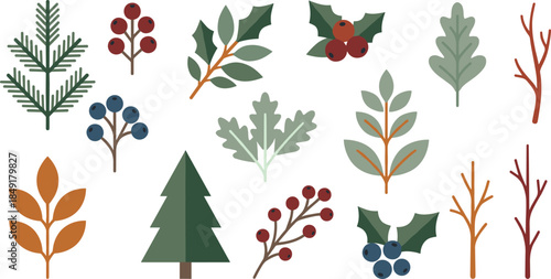 Winter botanical foliage illustration set with pine branches, holly berries, leaves and twigs, flat vector nature elements