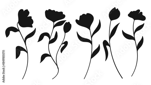 Silhouette of various flowers with stems and leaves in a row illustration
