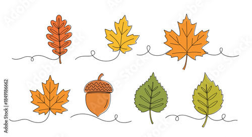 A set of autumn leaves and an acorn drawn in a continuous single line style with fall colors for a seasonal design.