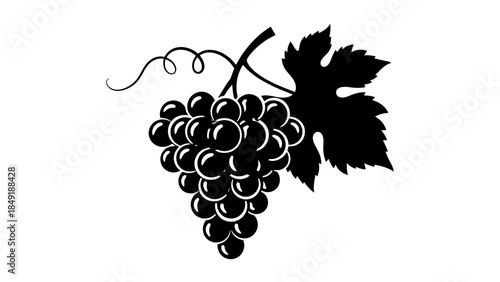 Black silhouette of a grape bunch with decorative swirling vines and leaves, isolated white background.
